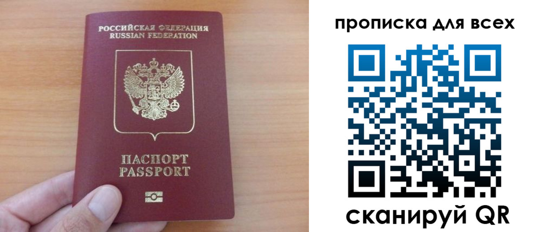прописка поиск в Фрязино